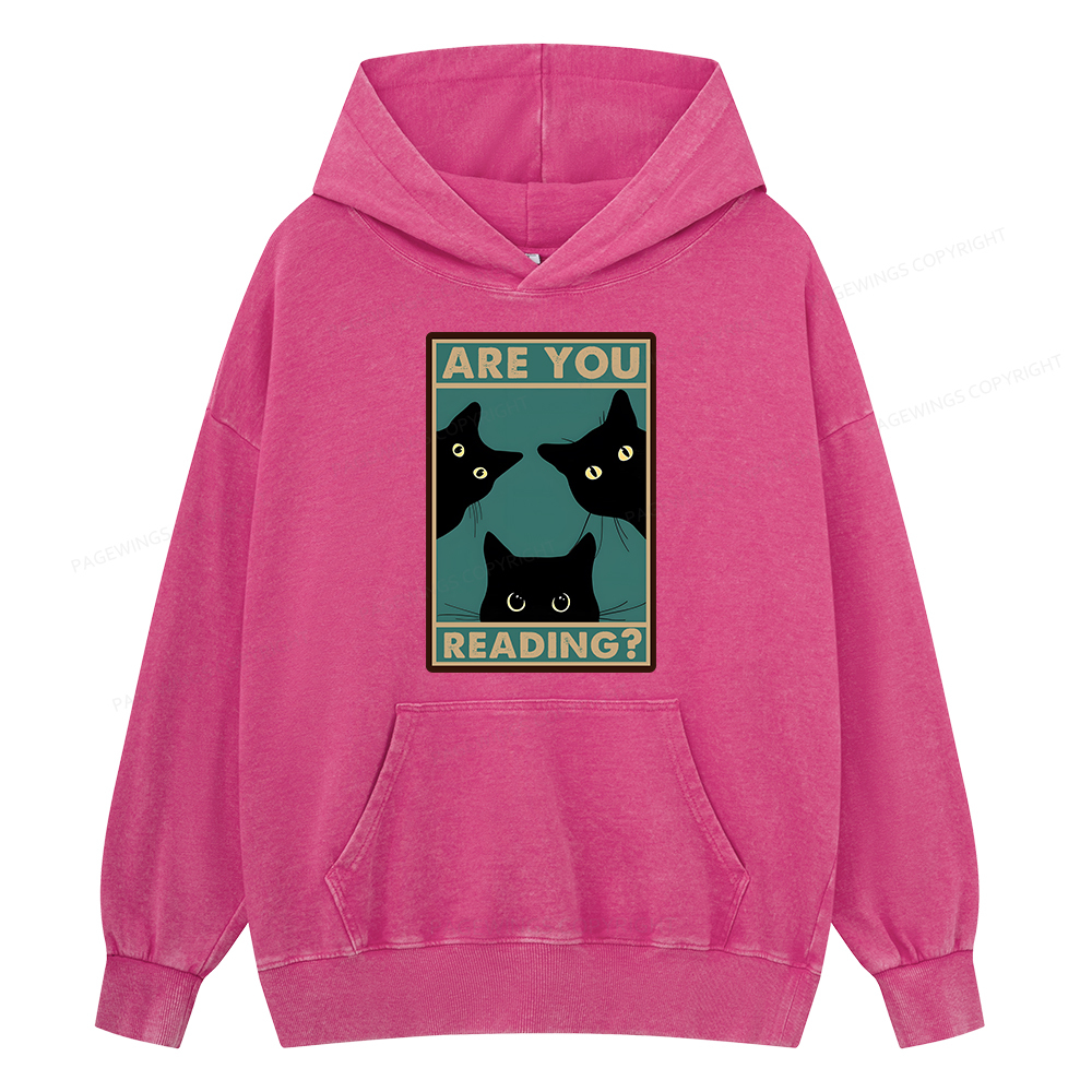 Pagewings Are You Reading Unisex Washed Hoodie