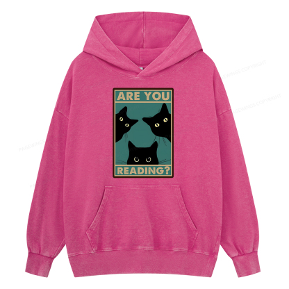 Pagewings Are You Reading Unisex Washed Hoodie