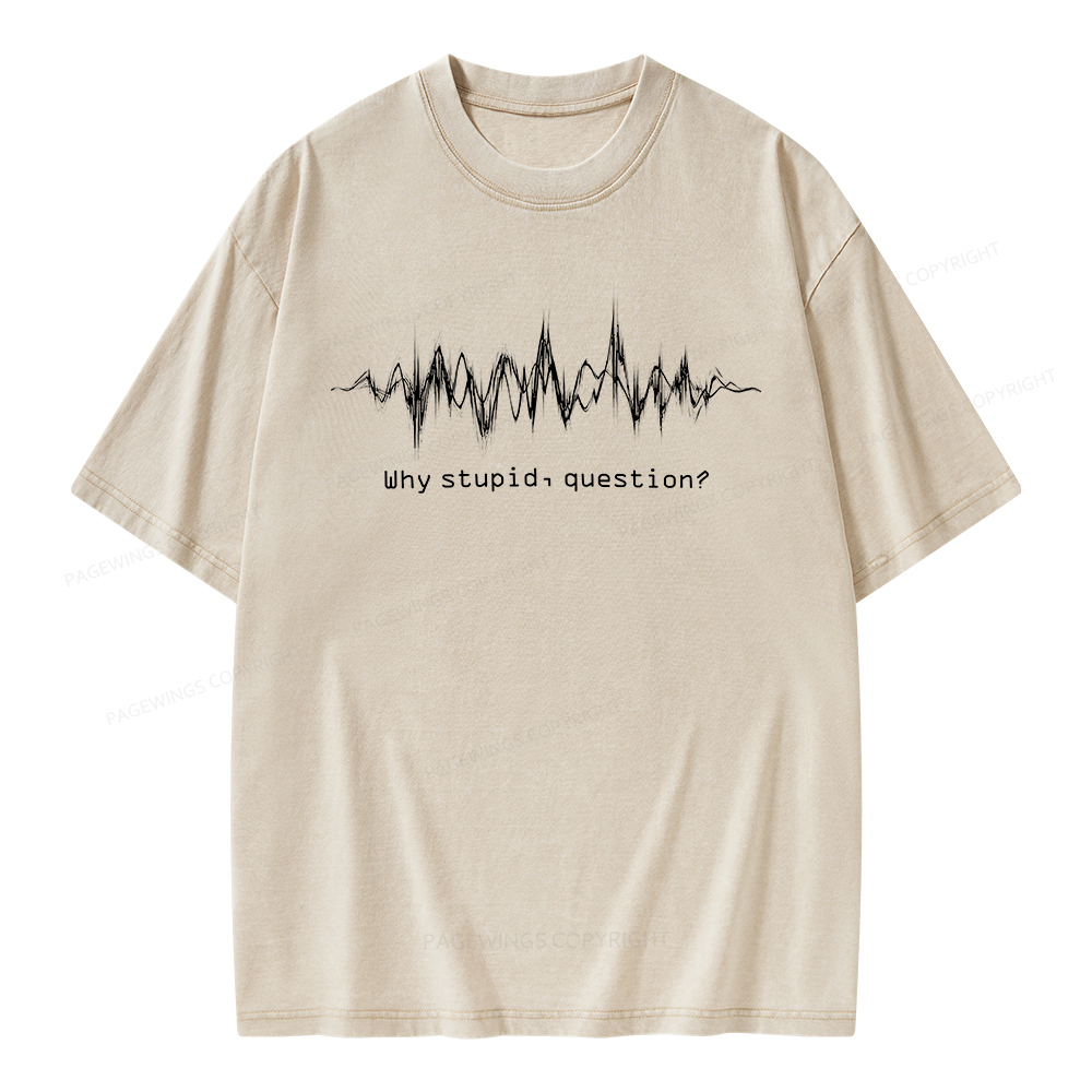 Pagewings Why Stupid Question Unisex Washed T-shirt