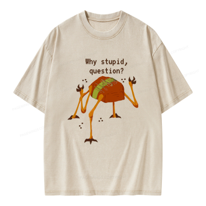 Pagewings Sci-Fi Why Stupid Question Unisex Washed T-shirt