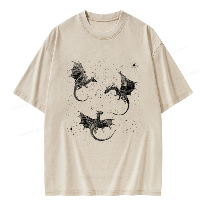 Pagewings Dragon Fantasy Unisex Washed T-shirt