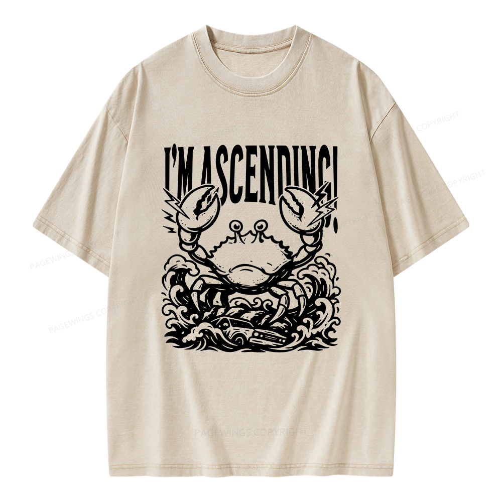 Pagewings I'm Ascending Vintage Unisex Washed T-shirt