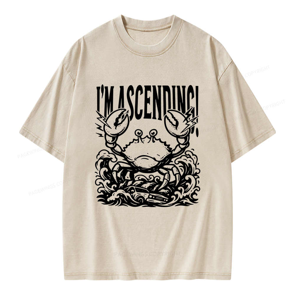 Pagewings I'm Ascending Vintage Unisex Washed T-shirt