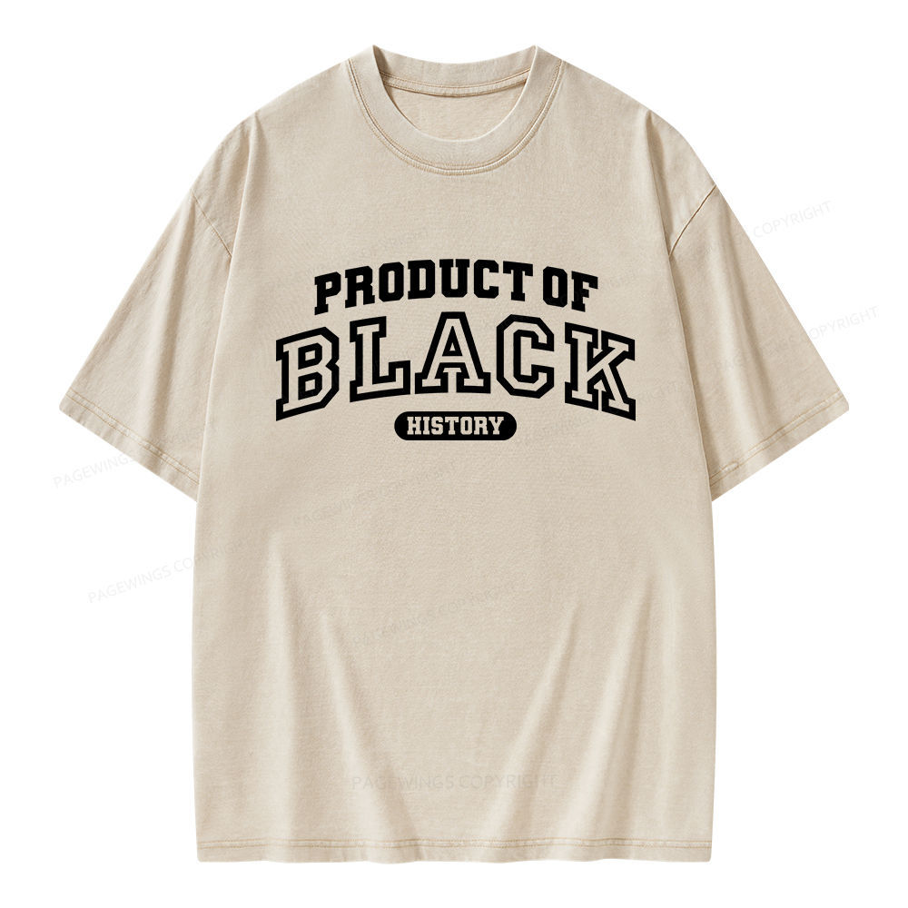 Pagewings Product of Black History Unisex Washed T-shirt