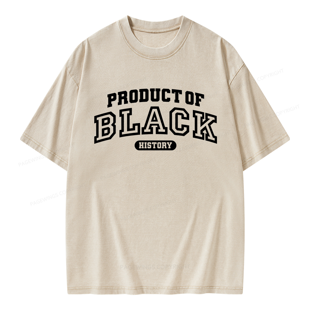 Pagewings Product of Black History Unisex Washed T-shirt