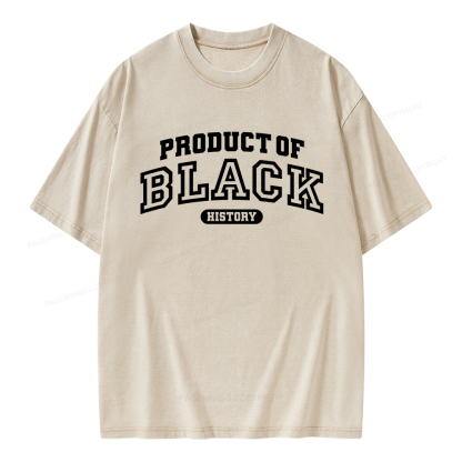 Pagewings Product of Black History Unisex Washed T-shirt