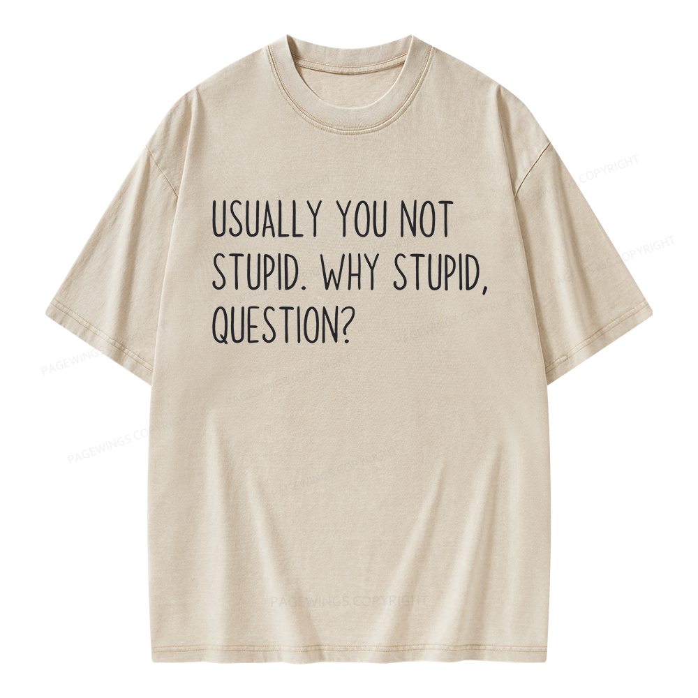 Pagewings Why Stupid Question Unisex Washed T-shirt