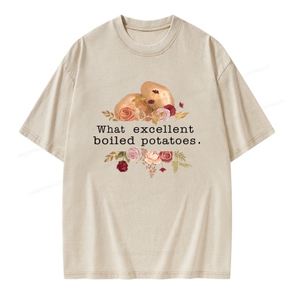 Pagewings Pride and Prejudice Unisex Washed T-shirt