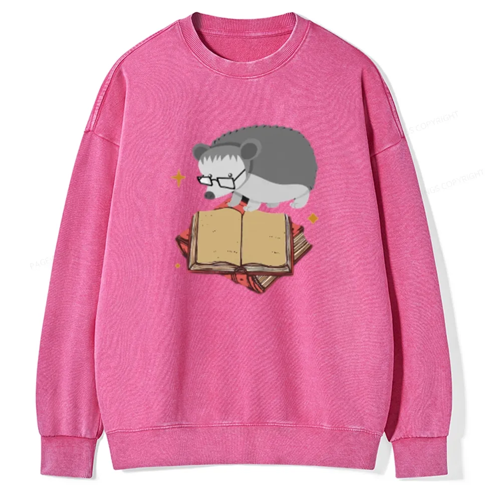 Pagewing Fun Hedgehog Is Reading Unisex Washed Sweatshirt