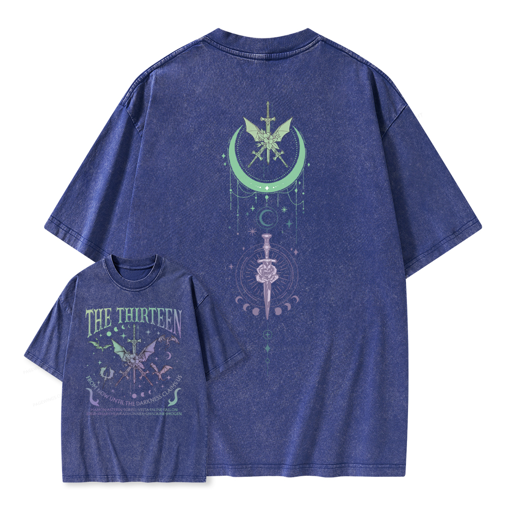 Pagewings Fantasy Books Lover Unisex Washed T-shirt