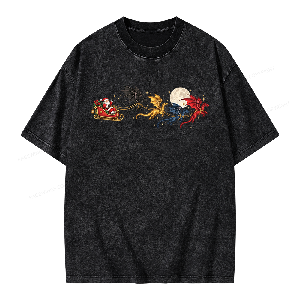 Pagewings Dragon Rider Book Fan Unisex Washed T-shirt
