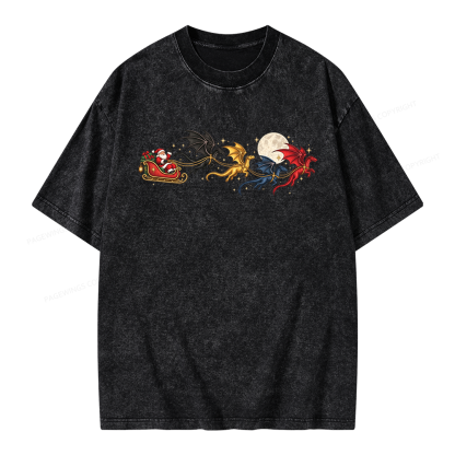 Pagewings Dragon Rider Book Fan Unisex Washed T-shirt