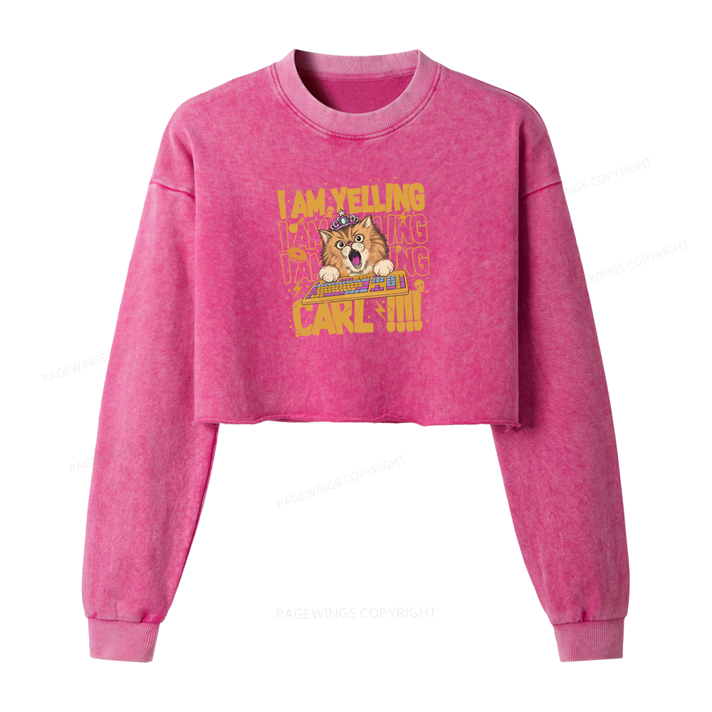 Pagewings Sci-Fi Novel Lover Washed Crop Sweatshirt