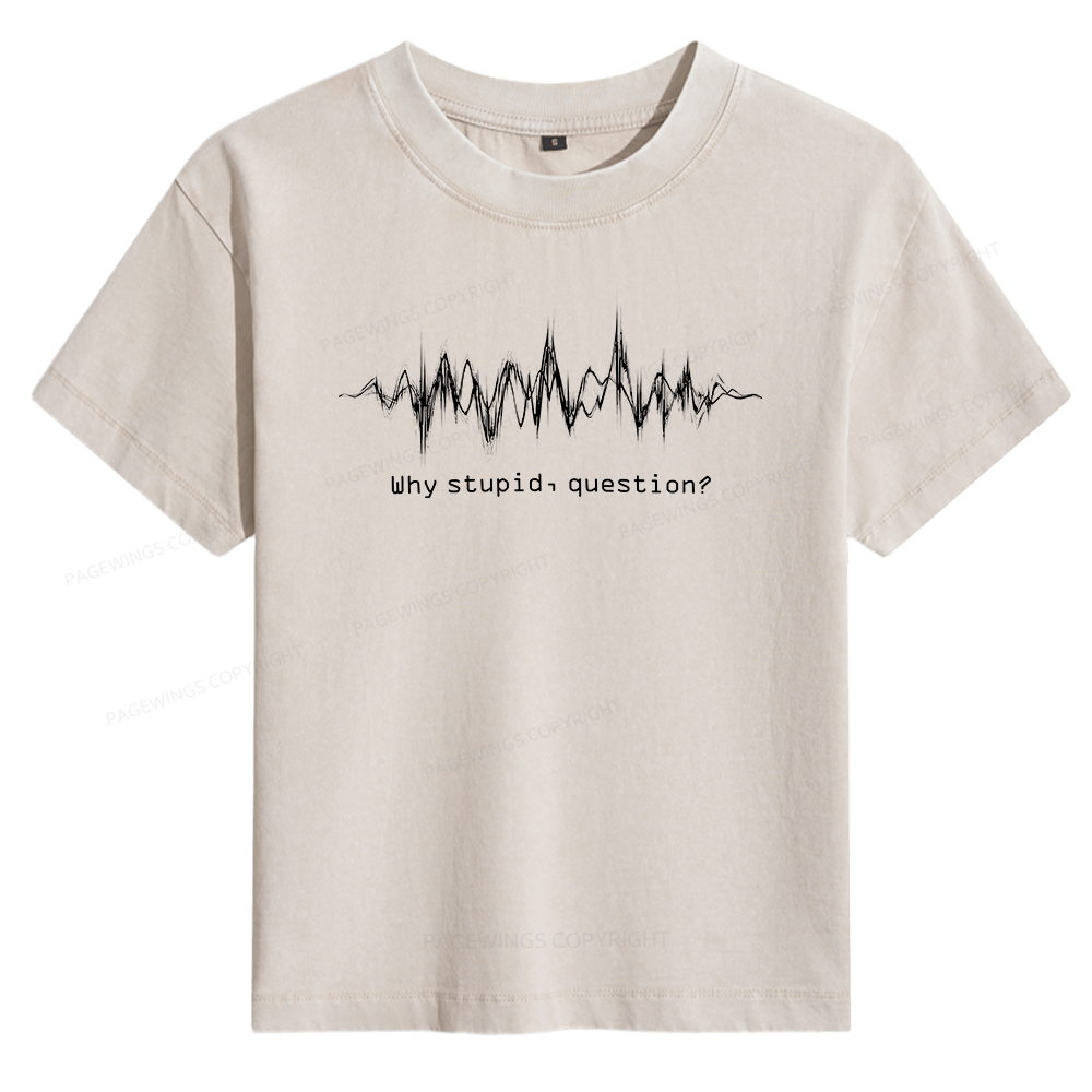 Pagewings Why Stupid Question Women's Washed T-shirt