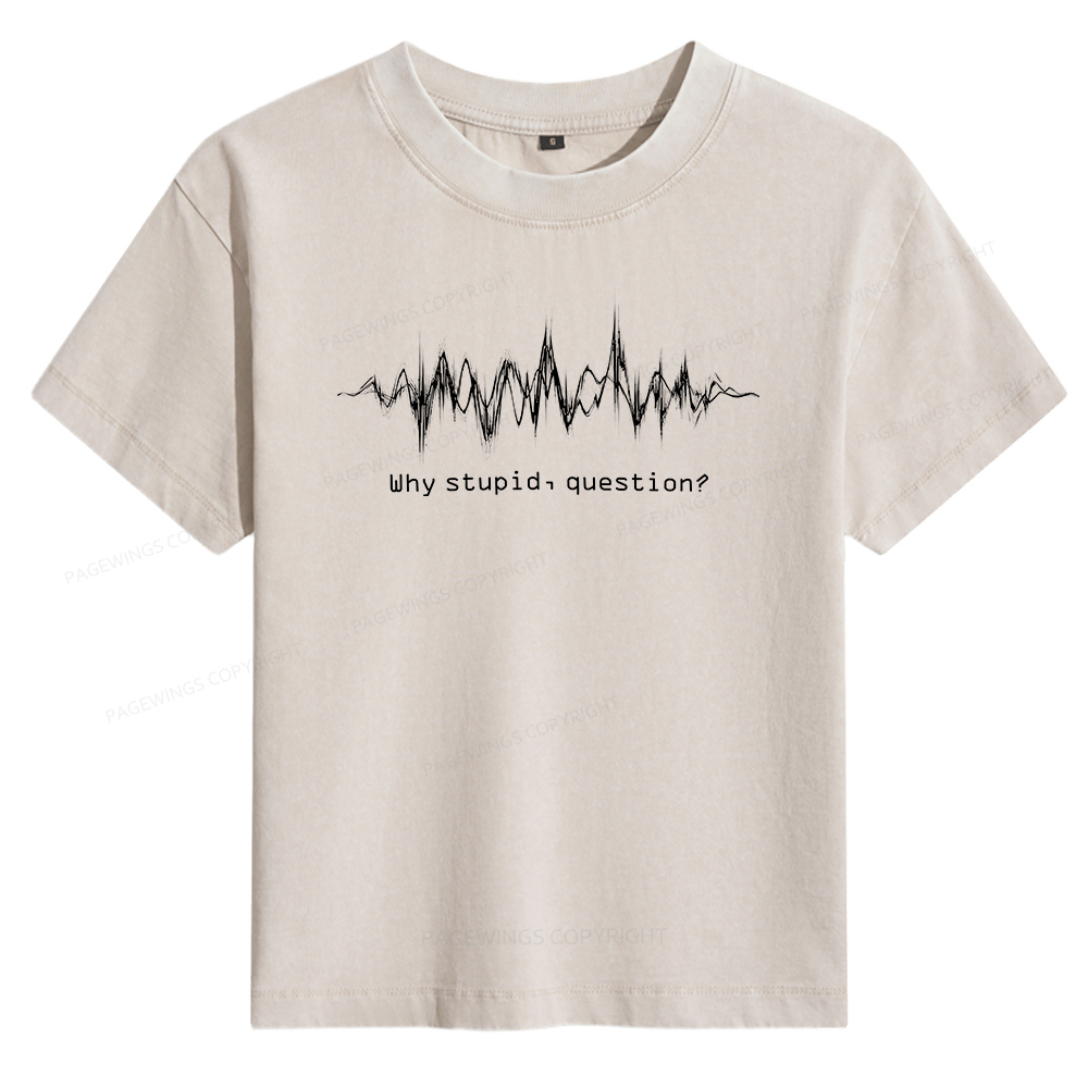 Pagewings Why Stupid Question Women's Washed T-shirt