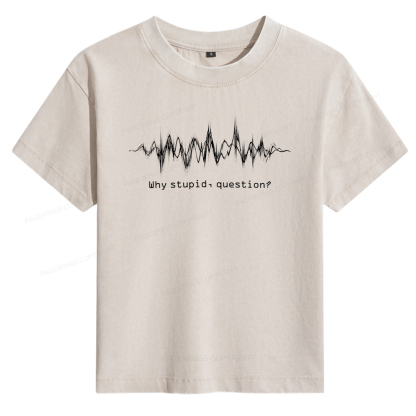 Pagewings Why Stupid Question Women's Washed T-shirt
