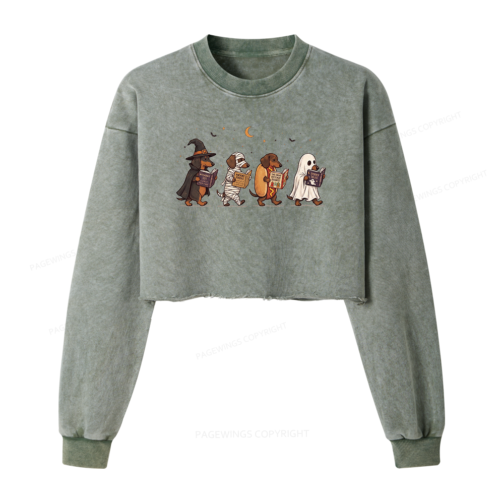 画板 7