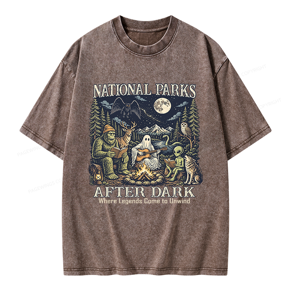 Pagewings National Parks After Dark Unisex Washed T-shirt