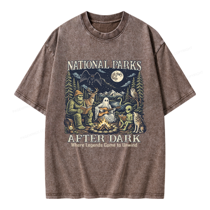 Pagewings National Parks After Dark Unisex Washed T-shirt