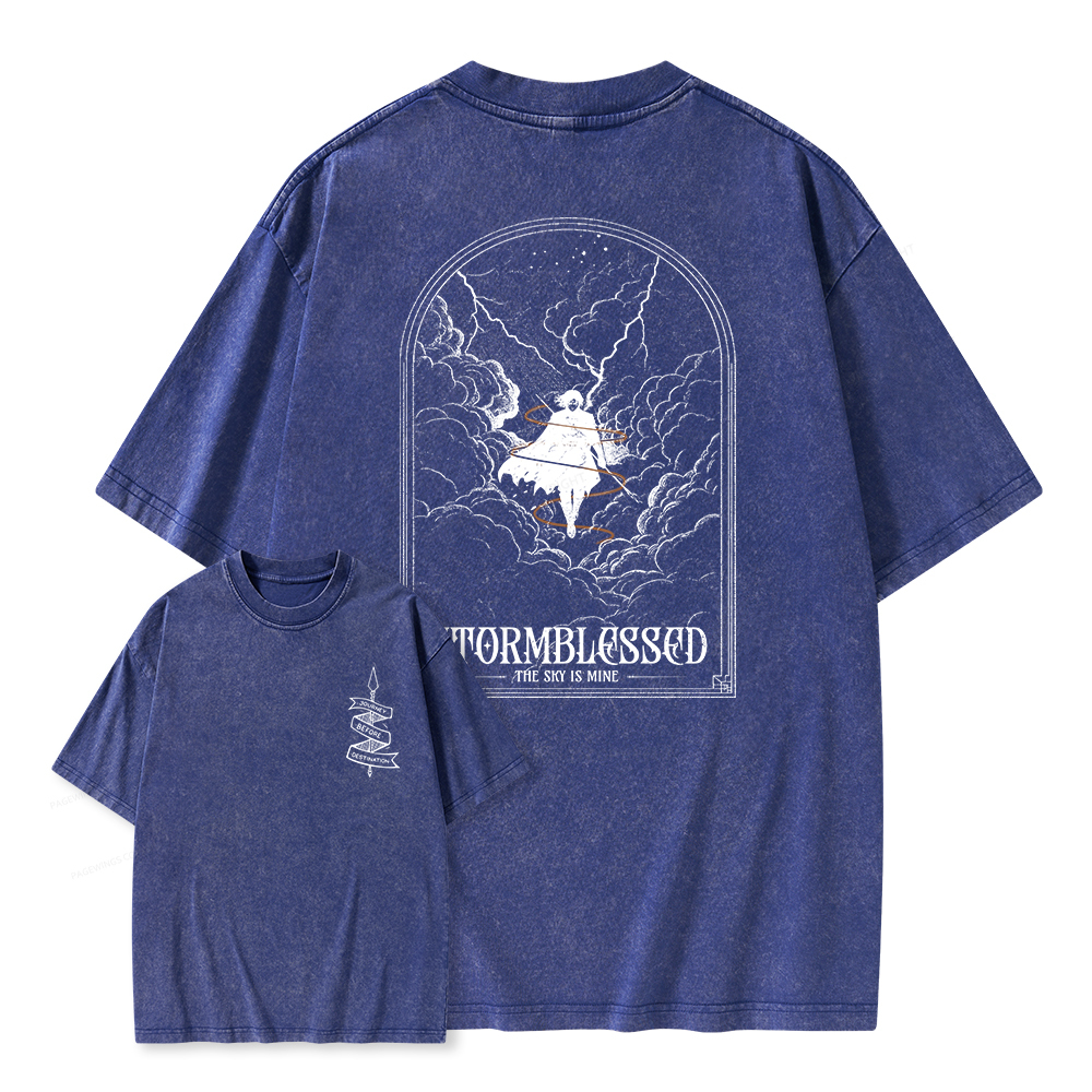 Pagewings Stormblessed Unisex Washed T-shirt