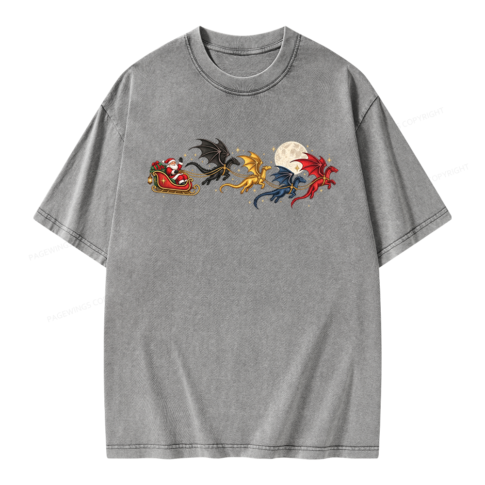 Pagewings Dragon Rider Book Fan Unisex Washed T-shirt