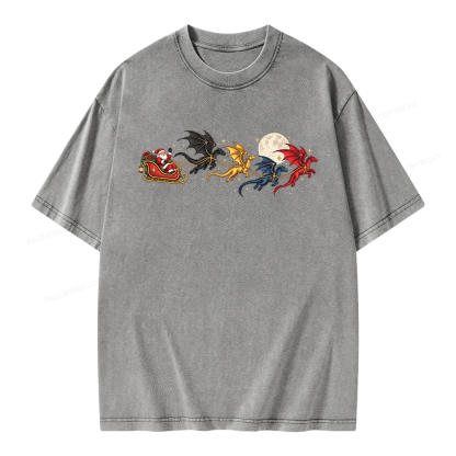 Pagewings Dragon Rider Book Fan Unisex Washed T-shirt