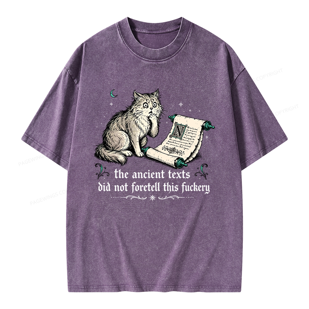 Pagewings Funny Medieval Cat Unisex Washed T-shirt