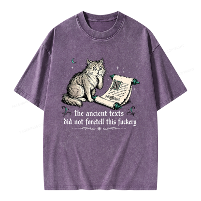 Pagewings Funny Medieval Cat Unisex Washed T-shirt