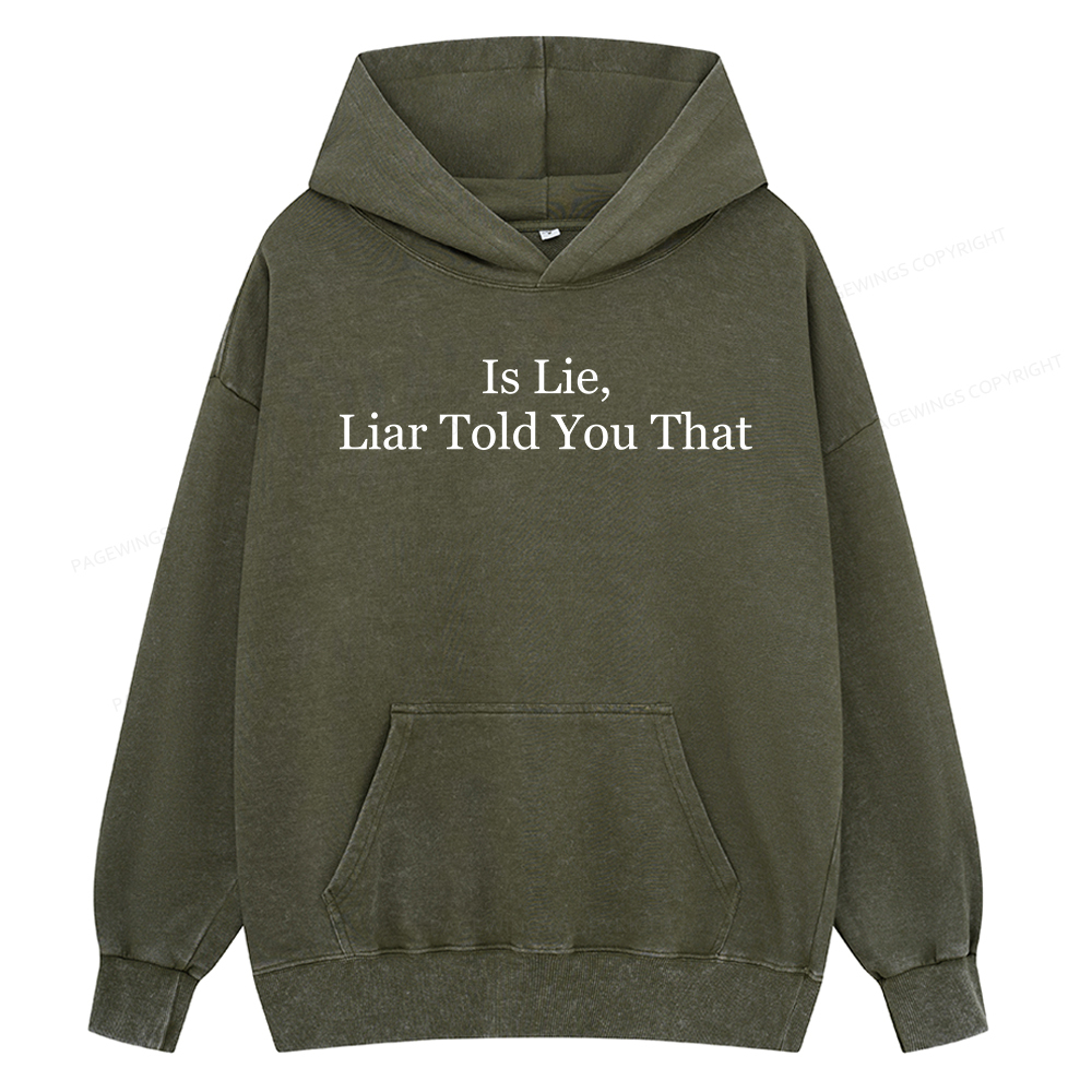 Pagewings Is Lie Liar Told You That Unisex Washed Hoodie