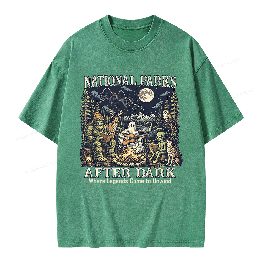 Pagewings National Parks After Dark Unisex Washed T-shirt