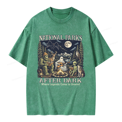 Pagewings National Parks After Dark Unisex Washed T-shirt