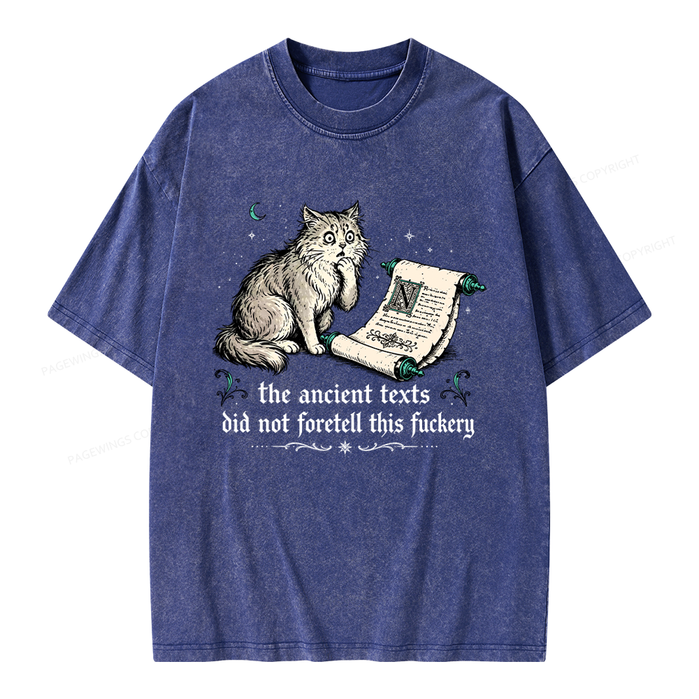 Pagewings Funny Medieval Cat Unisex Washed T-shirt