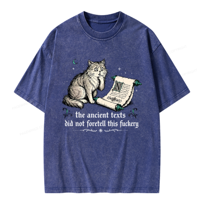 Pagewings Funny Medieval Cat Unisex Washed T-shirt