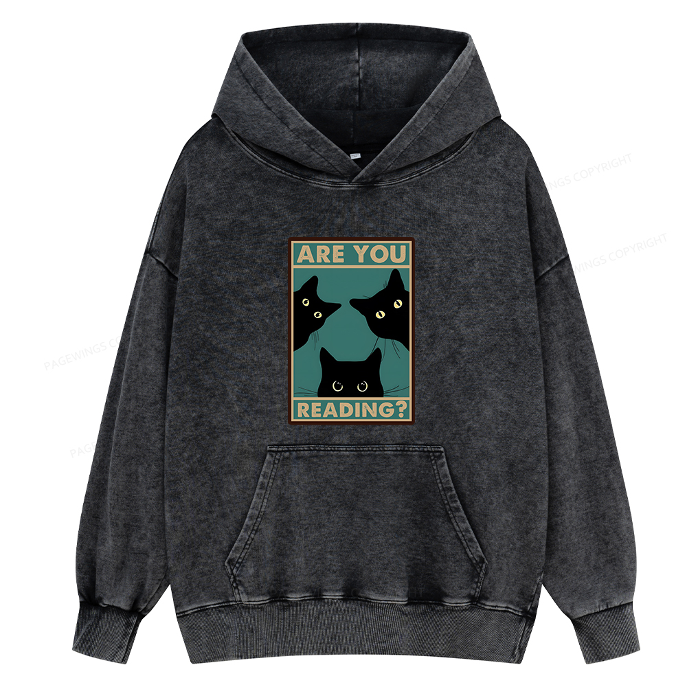 Pagewings Are You Reading Unisex Washed Hoodie