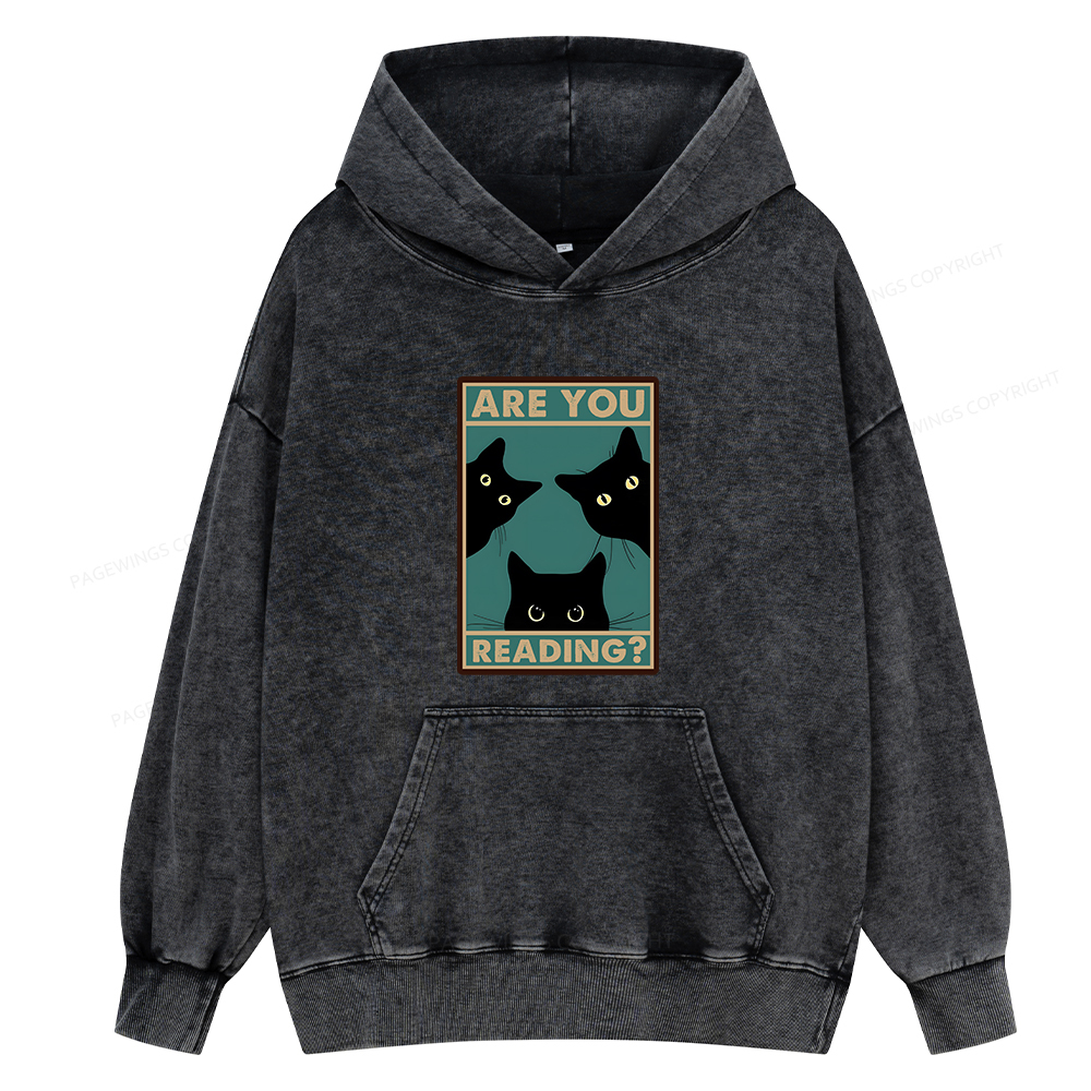 Pagewings Are You Reading Unisex Washed Hoodie