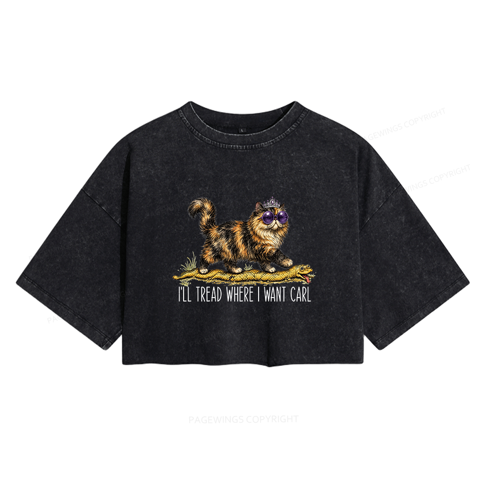 Pagewings Sci-Fi Reading Women's Washed Cropped T-shirt