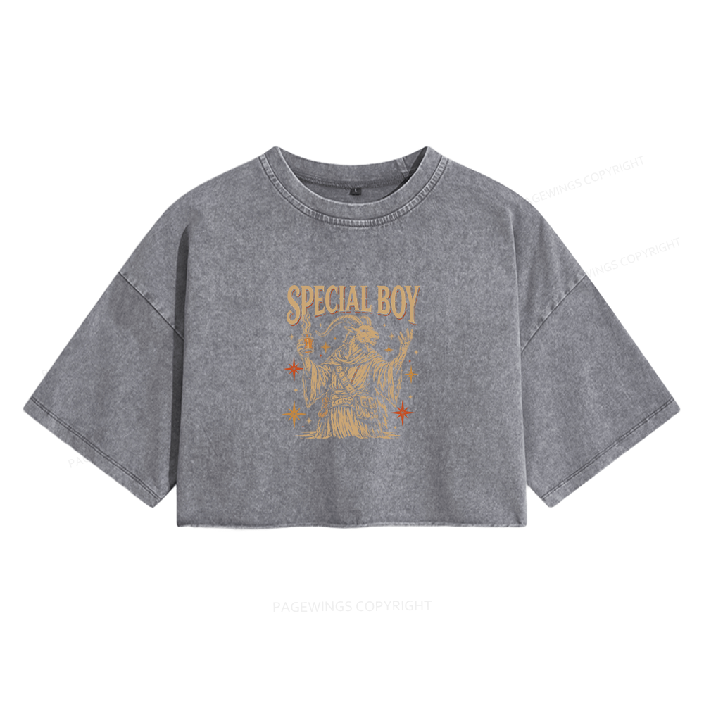 Pagewings Sci Fi Bookish Women's Washed Cropped T-shirt