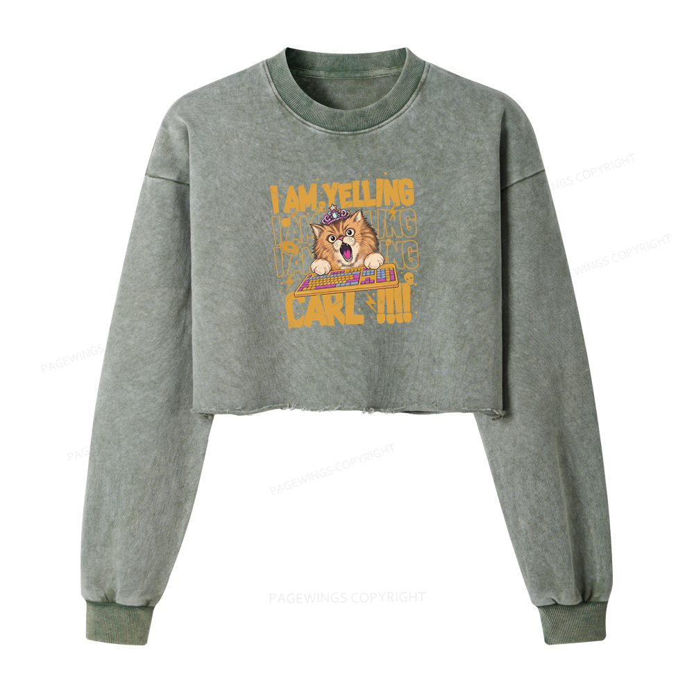 Pagewings Sci-Fi Novel Lover Washed Crop Sweatshirt