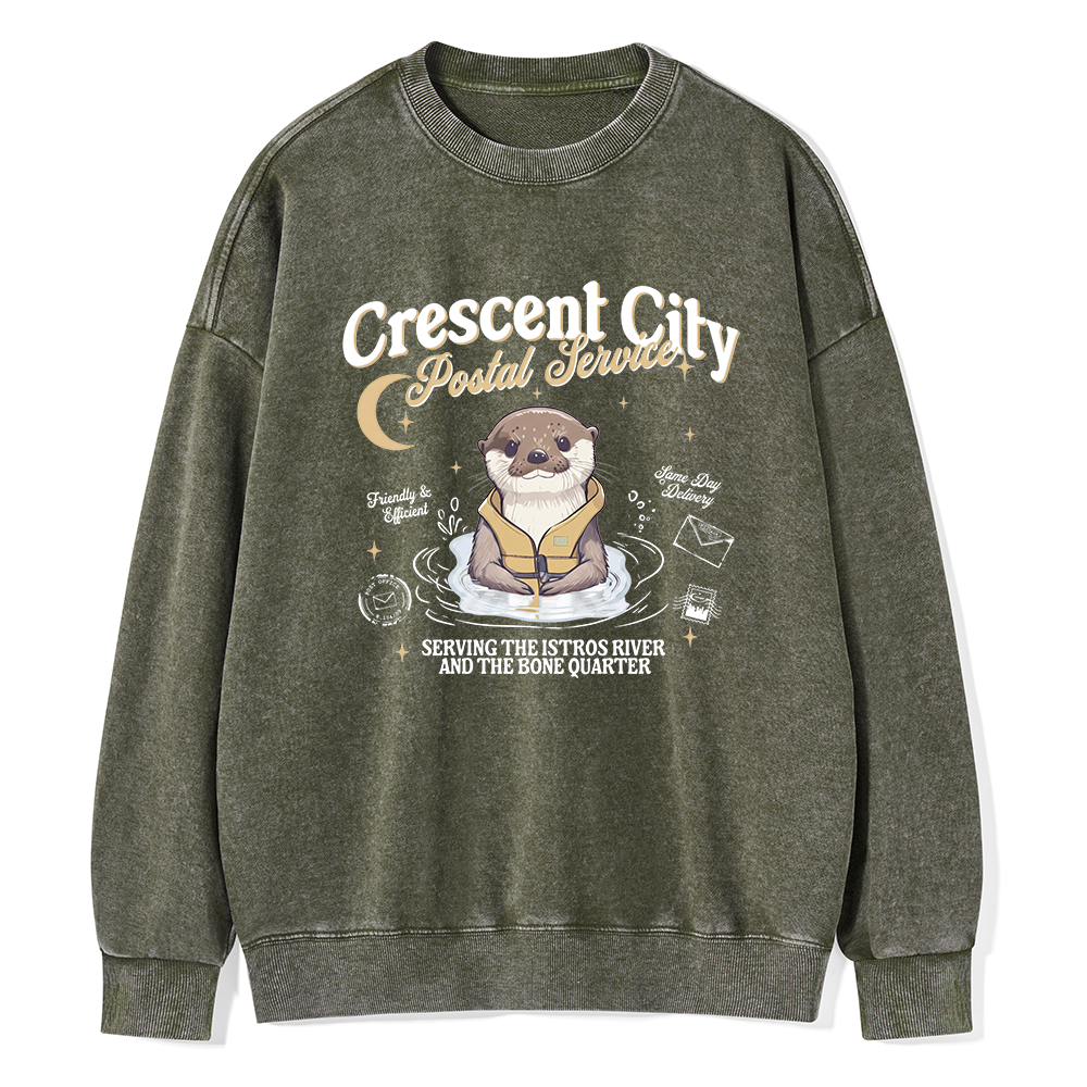 Pagewing Reading Fantasy Bookish Unisex Washed Sweatshirt