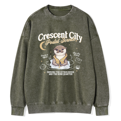 Pagewing Reading Fantasy Bookish Unisex Washed Sweatshirt
