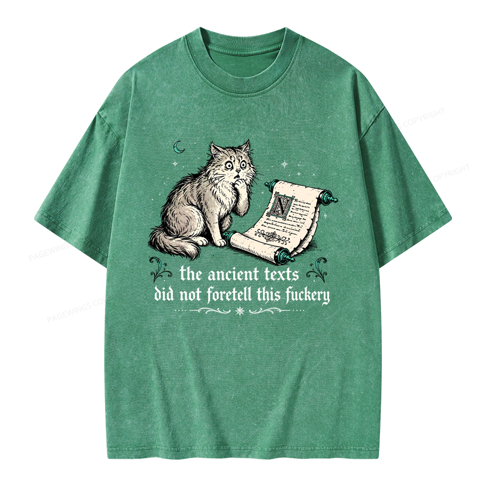 Pagewings Funny Medieval Cat Unisex Washed T-shirt