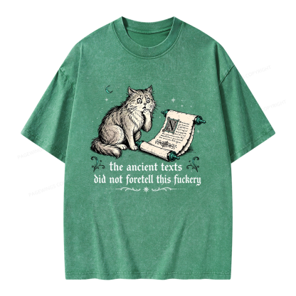 Pagewings Funny Medieval Cat Unisex Washed T-shirt