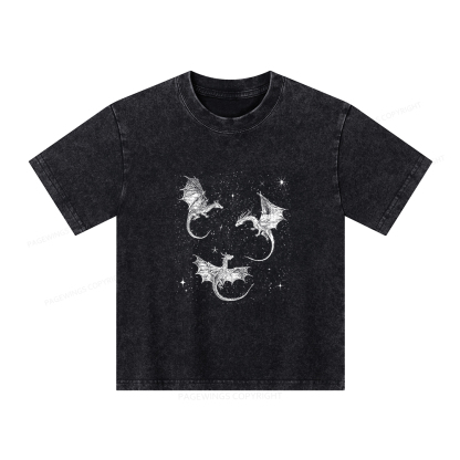Pagewings Dragon Fantasy Unisex Kids Washed T-shirt