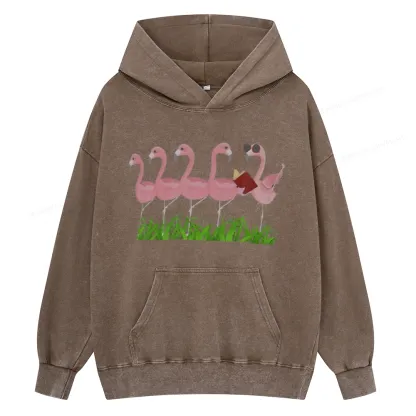 Pagewings  Funny Flamingo Reading Book Unisex Washed Hoodie