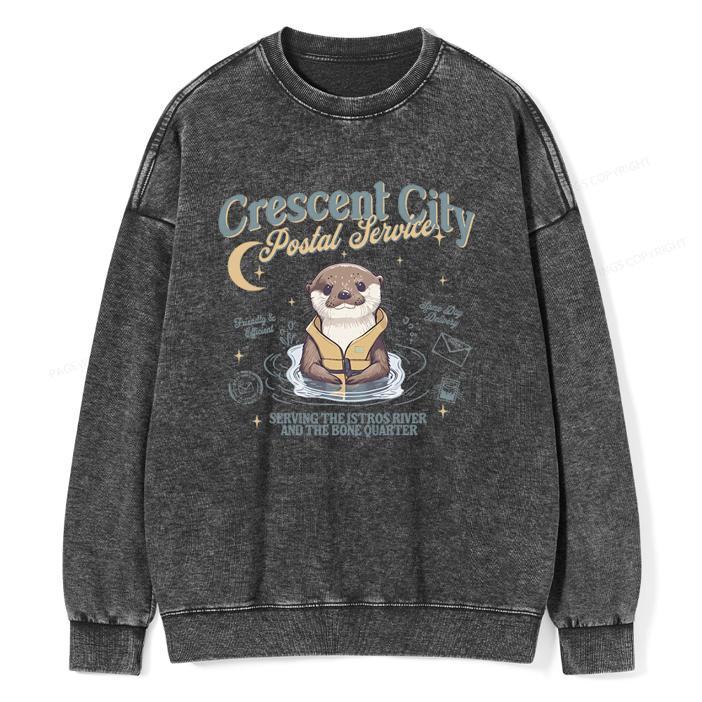 Pagewing Reading Fantasy Bookish Unisex Washed Sweatshirt