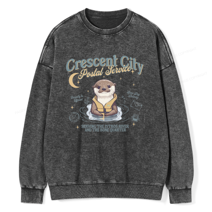 Pagewing Reading Fantasy Bookish Unisex Washed Sweatshirt