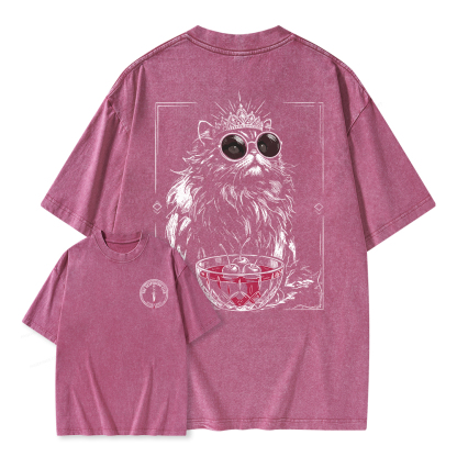 Pagewings The Desperado Club Unisex Washed T-shirt