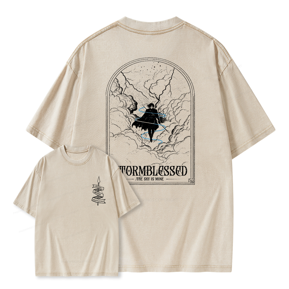 Pagewings Stormblessed Unisex Washed T-shirt