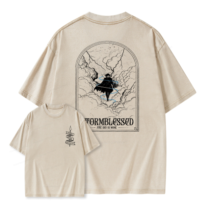 Pagewings Stormblessed Unisex Washed T-shirt