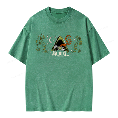 Pagewings Fantasy Bookish Unisex Washed T-shirt